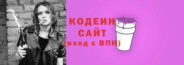PSILOCYBIN Алагир